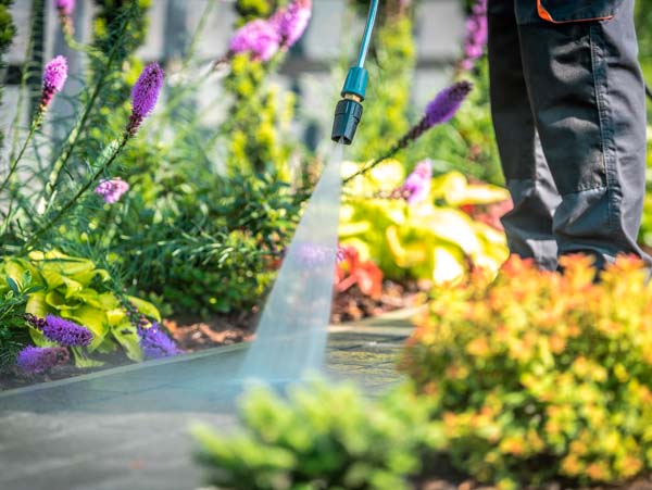 Monitoramento, Limpeza, Jardinagem e Encarregadas
